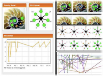 © Preview snapshot of diagrams that show the popularity of categories used by students