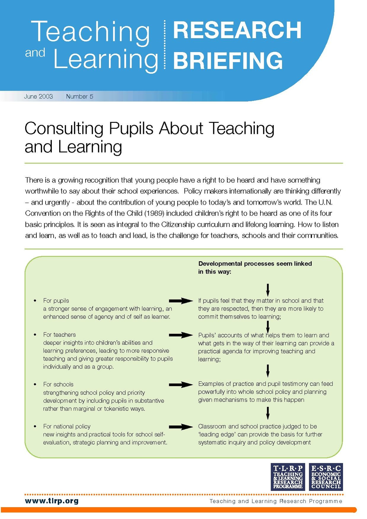 Consulting pupils 2.pdf