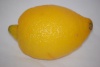 Living-Things-Tropical-lemon1034.jpg