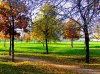 Living-Things-Autumn-in-park-full-of-bright-colors.jpg