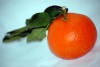 Living-Things-Orange-mandarin173.jpg