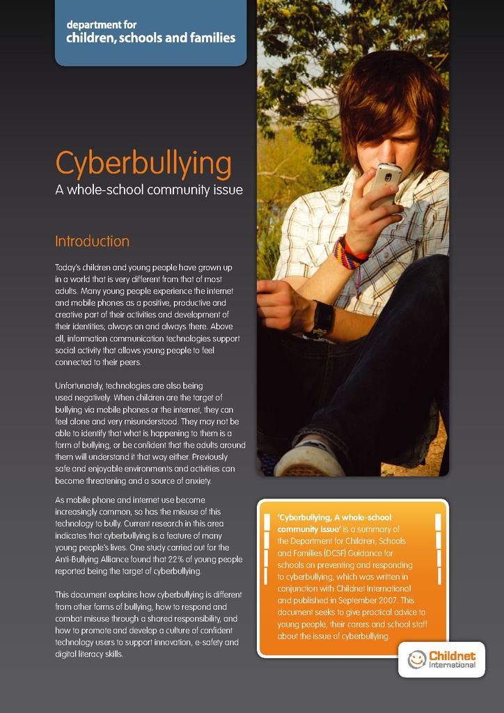 File:Cyberbullying Overview.pdf
